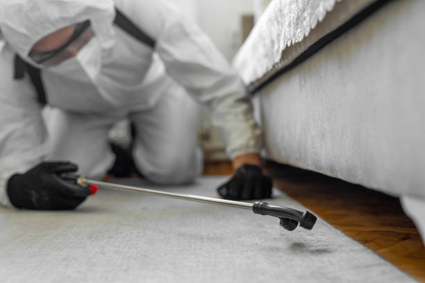 Professional Termite Control technician working in Evart, MI