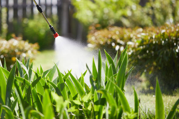 24/7 Emergency Termite Control experts in Evart, MI