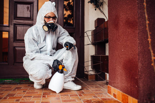 Reliable Termite Control contractor in Evart, MI by Nex Pest Control