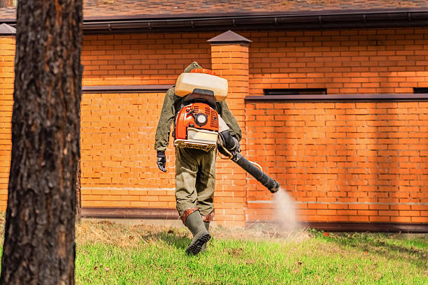 Top rated local Termite Control specialists in Evart, MI